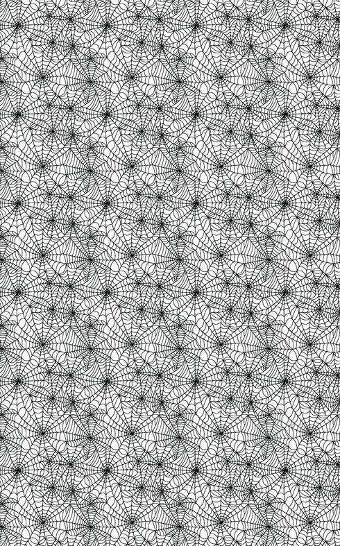 6047 - Spider Webs